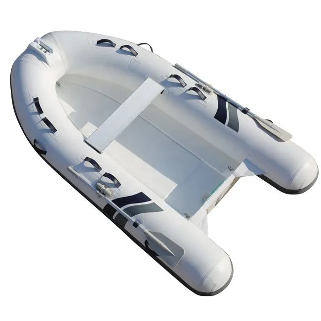 RIB300